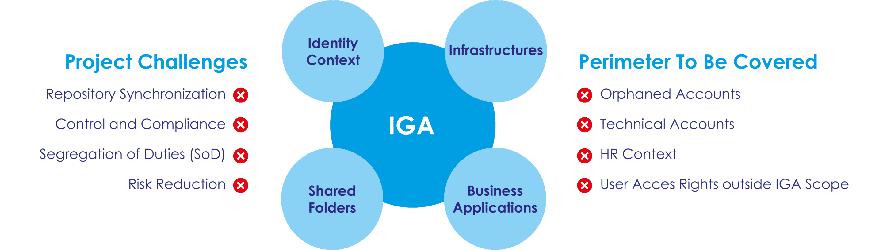 IGA Solution Without Identity Analytics