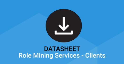 datasheet Role mining services