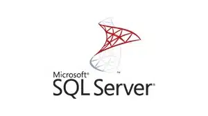 Microsoft SQL Server Icon